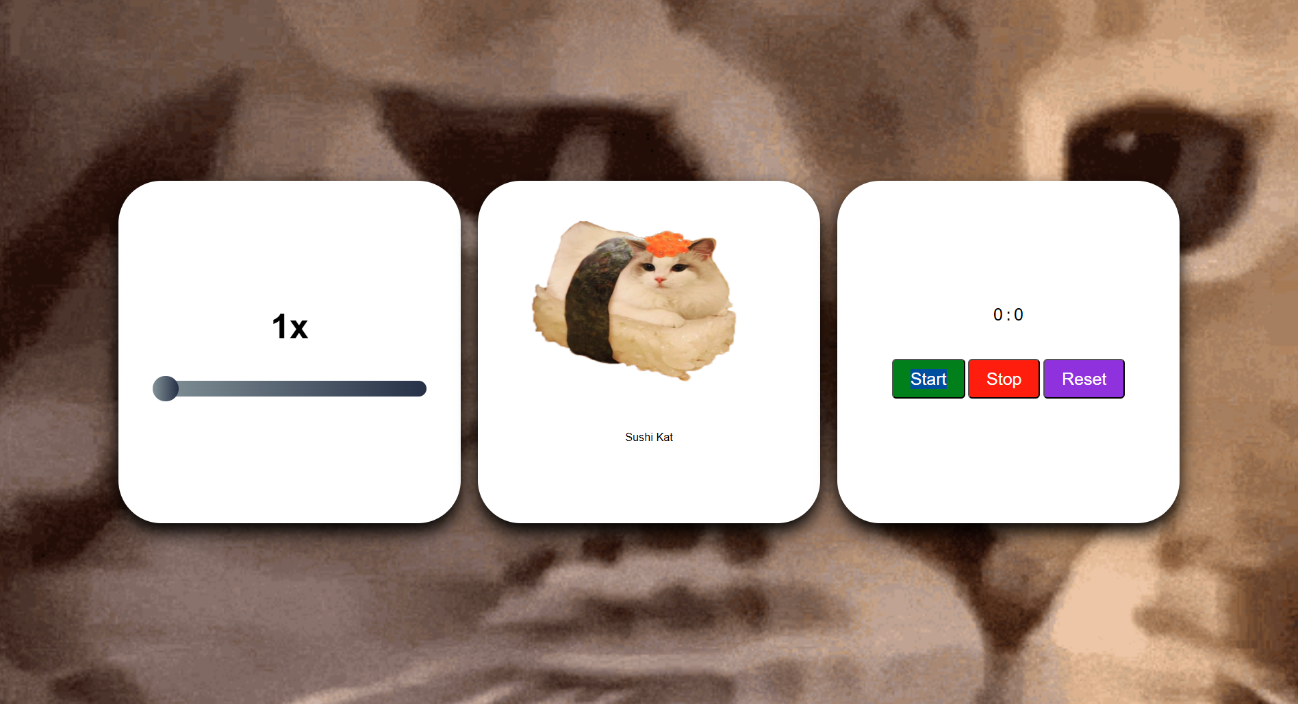 Stop & Slide Project